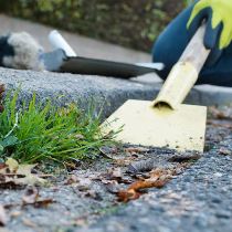 Entretien des haies, des trottoirs